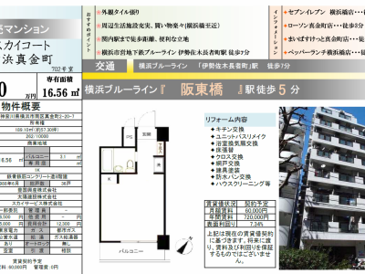 横浜南区横濱橋商店街至近　980万